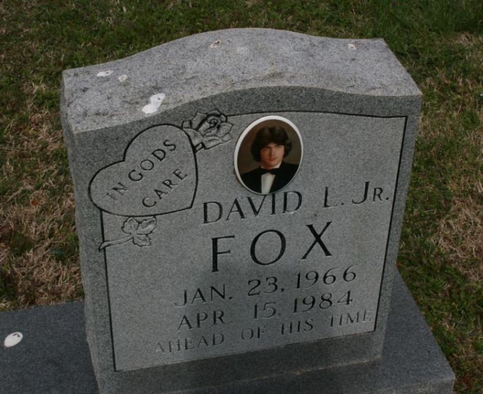 fox,david jr