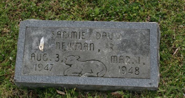 newman,sammie david jr