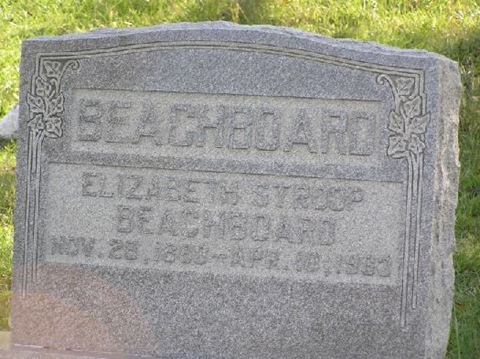Beachboard,Elizabeth Stroup