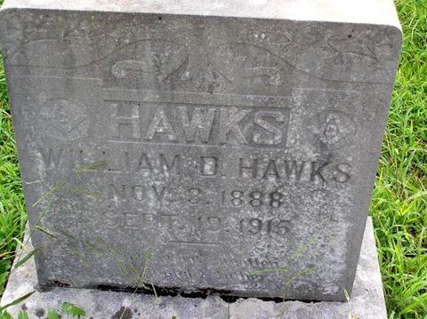 Hawks,William D